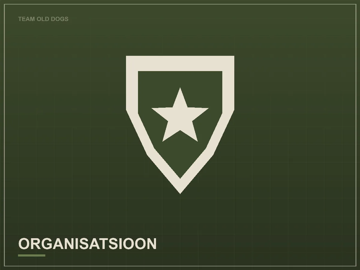 Organisatsioon